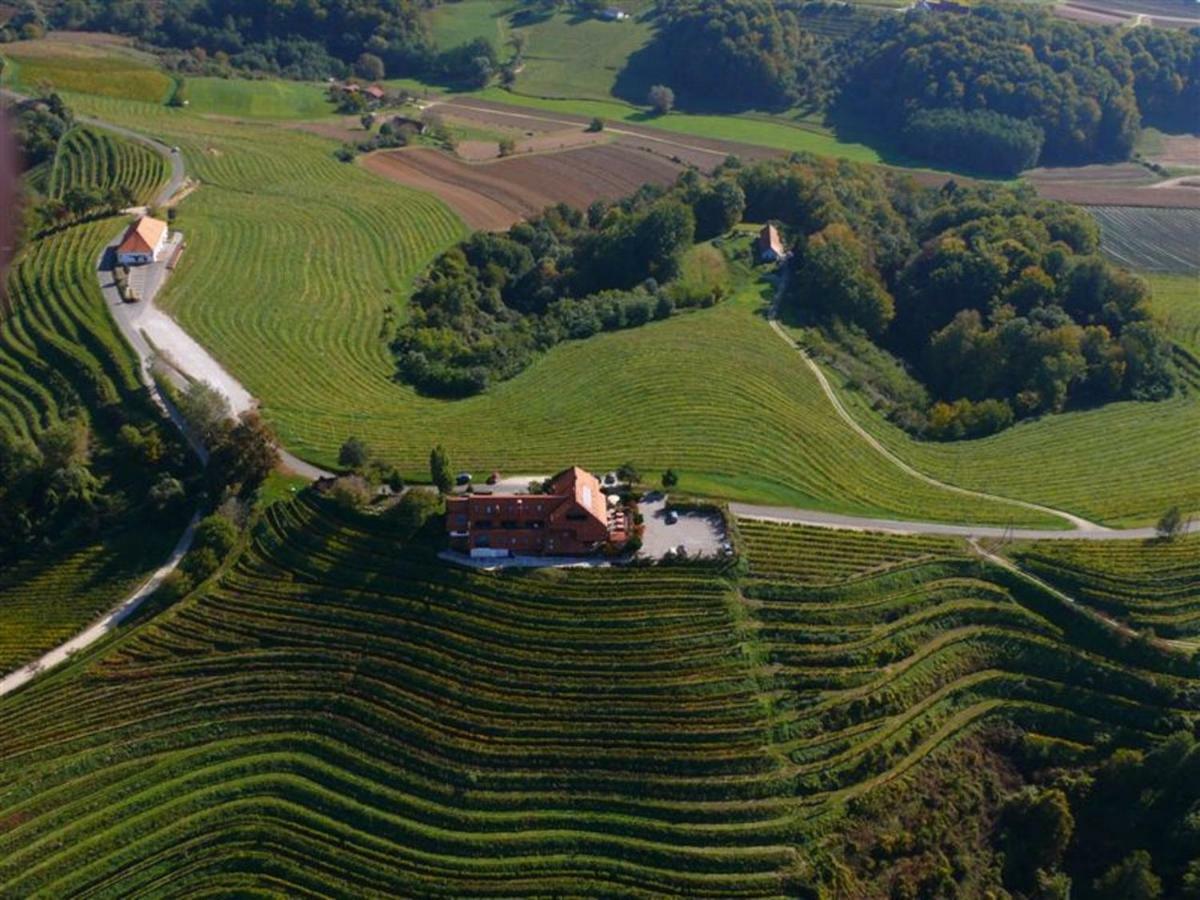 Taverna & Wine Jeruzalem Ivanjkovci Zewnętrze zdjęcie