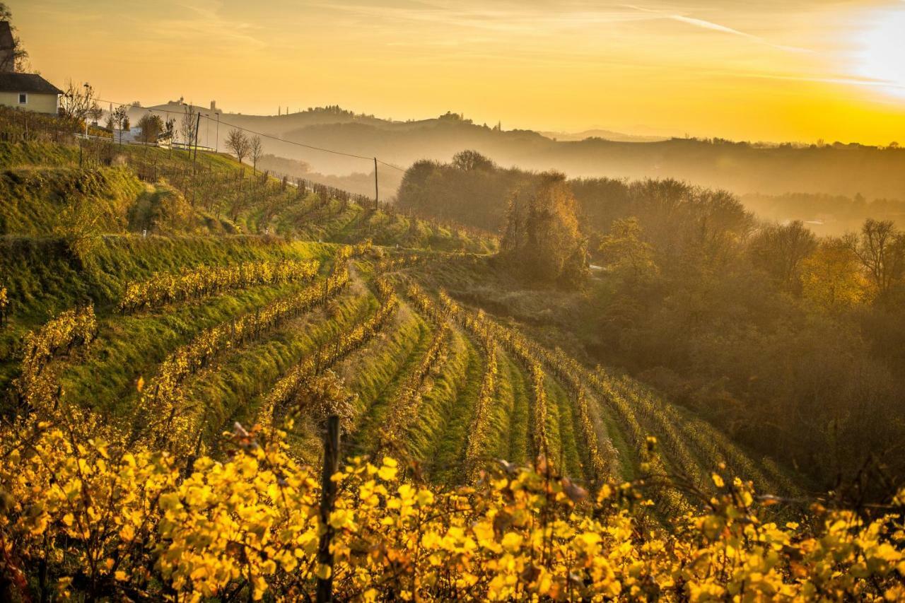 Taverna & Wine Jeruzalem Ivanjkovci Zewnętrze zdjęcie