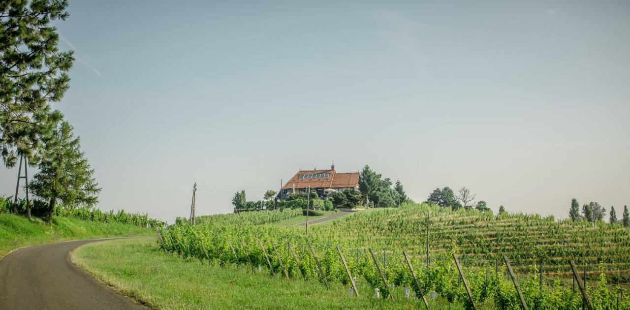 Taverna & Wine Jeruzalem Ivanjkovci Zewnętrze zdjęcie